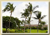 more details